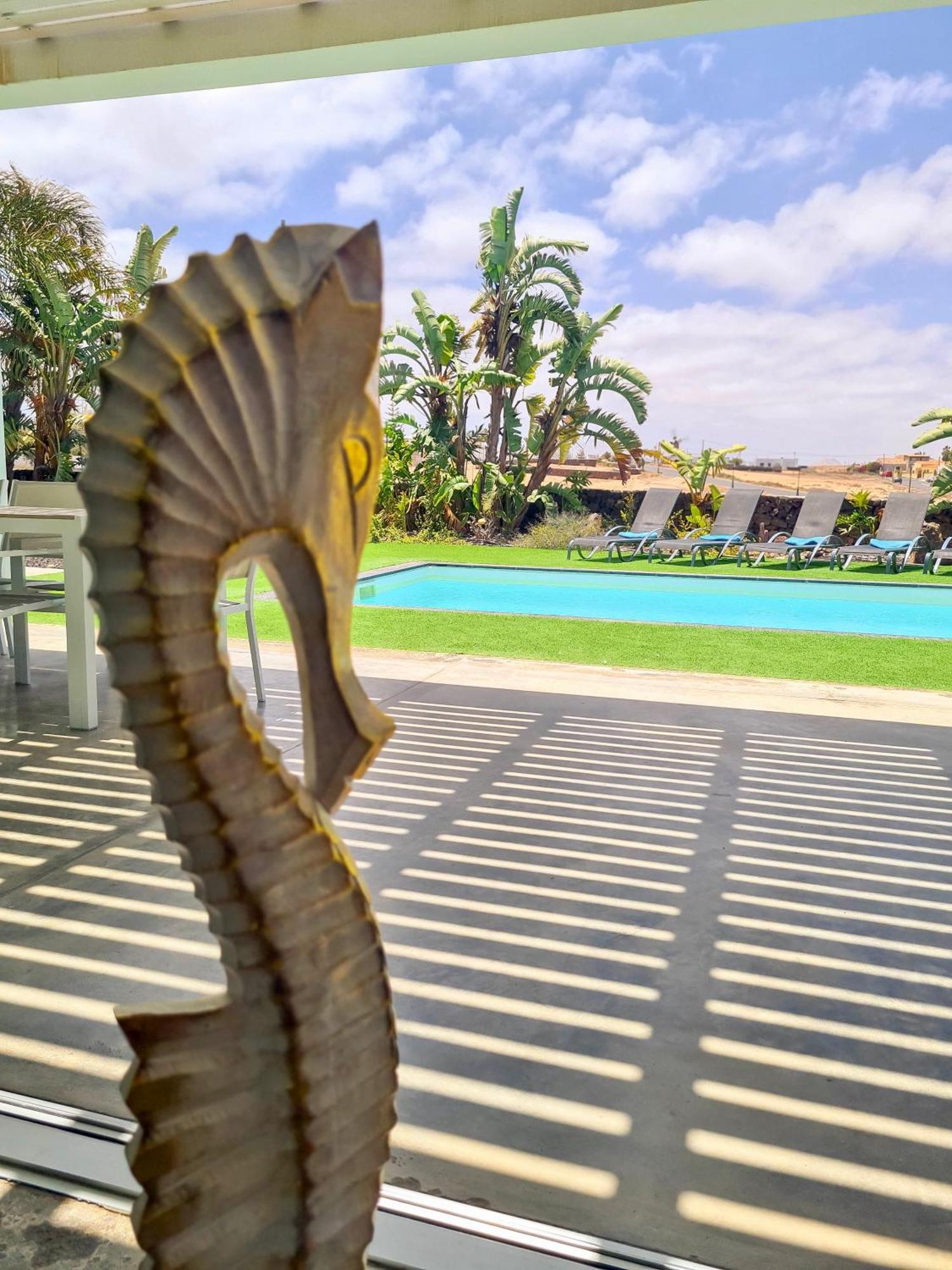 Turquesa 1 Fuerteventura Villa Lajares Eksteriør bilde