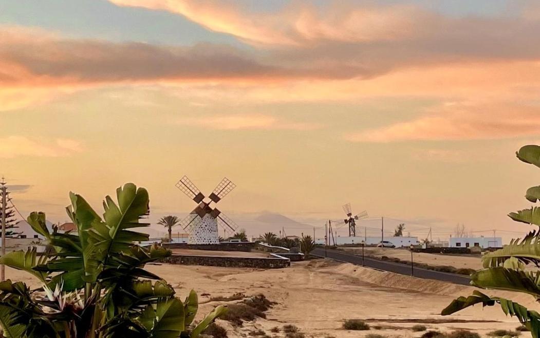 Turquesa 1 Fuerteventura Villa Lajares Eksteriør bilde
